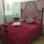 Grey * Arezzo