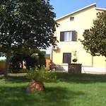 Grey Arezzo