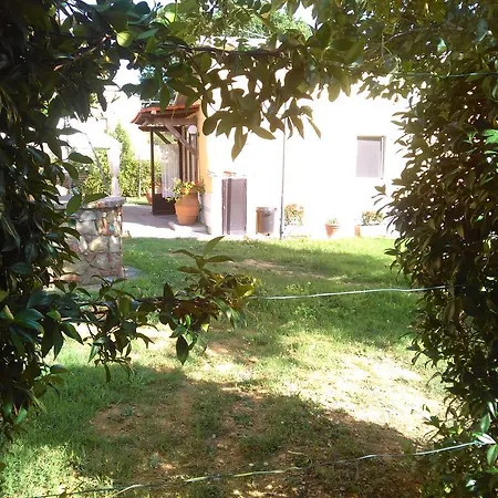Grey * Arezzo