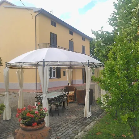 Grey Arezzo