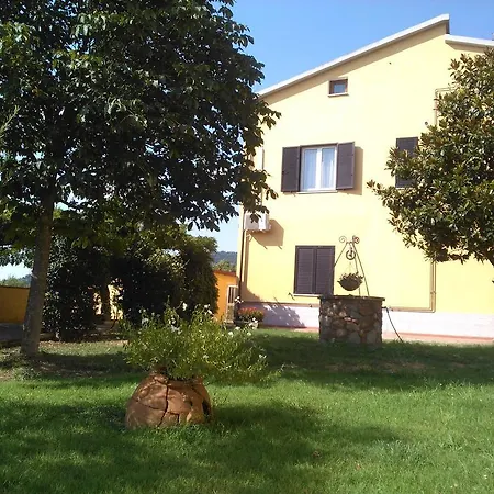 Grey Arezzo
